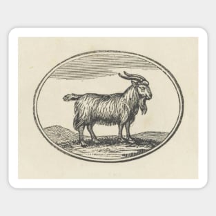 Goat Woodcut Sticker